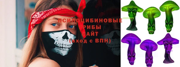 прущие грибы Няндома