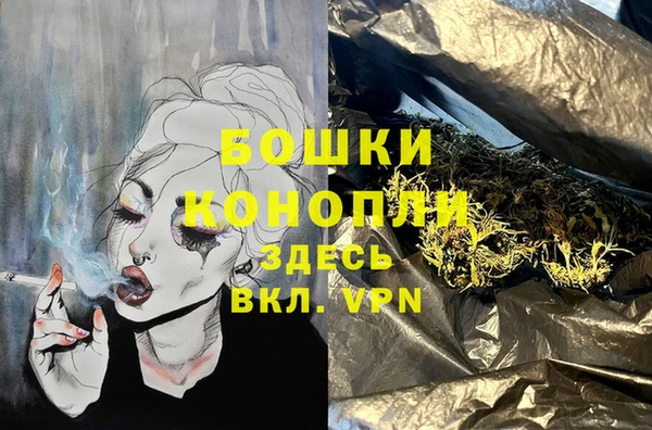 винт Новозыбков