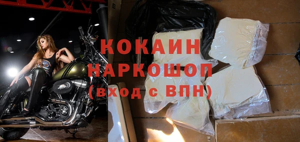 прущие грибы Няндома