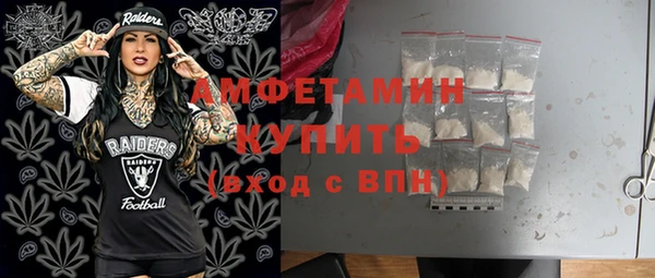 прущие грибы Няндома