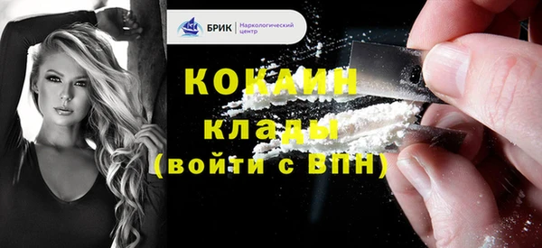 винт Новозыбков