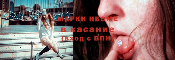 прущие грибы Няндома