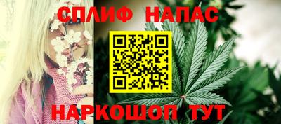 амф Донской