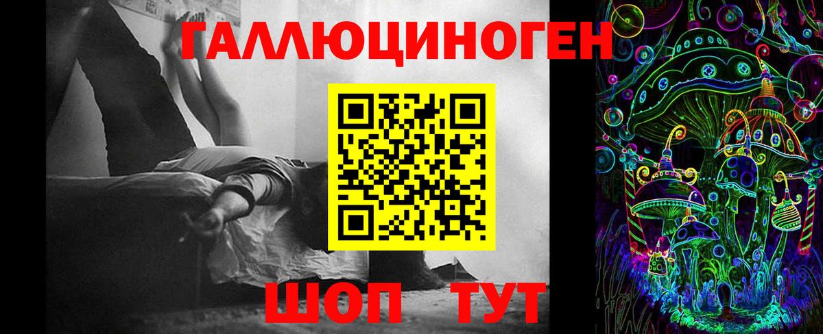 Псилоцибиновые грибы мухоморы  Псилоцибиновые грибы Psilocybine cubensis  Кировск 