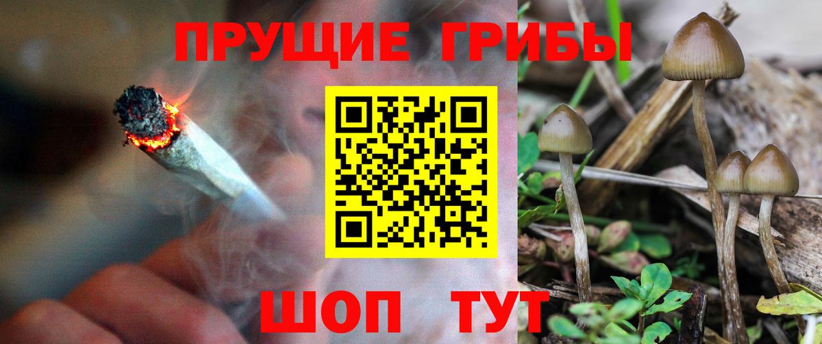 Галлюциногенные грибы Cubensis Кировск