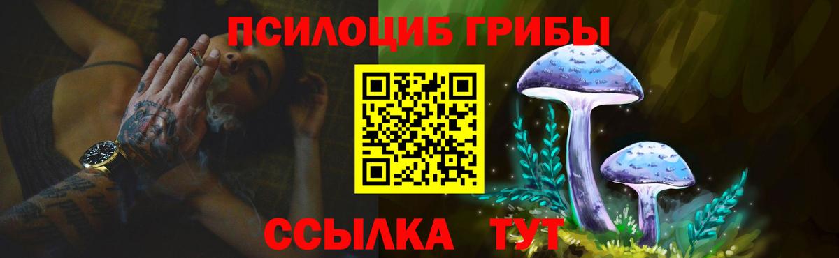 Кировск  Галлюциногенные грибы прущие грибы  наркота  Галлюциногенные грибы Magic Shrooms  Вход с VPN 