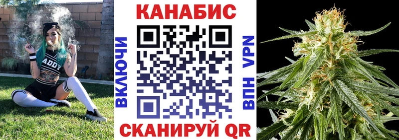 Каннабис план  купить   Кировск 